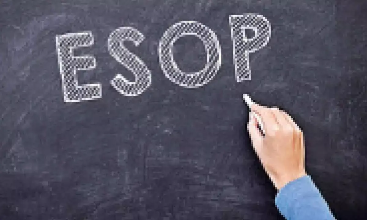 Sebi Moots Change In ESOP Norms