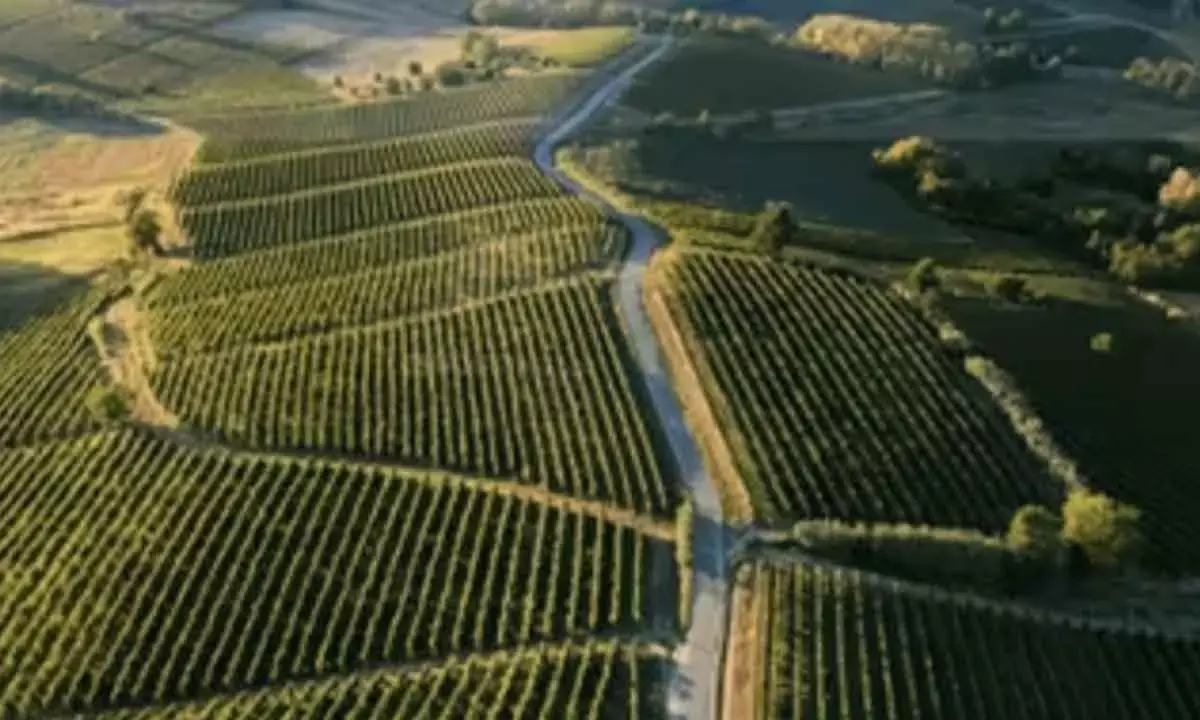 House of Abhinandan Lodha To Buy Land In 13 Cities