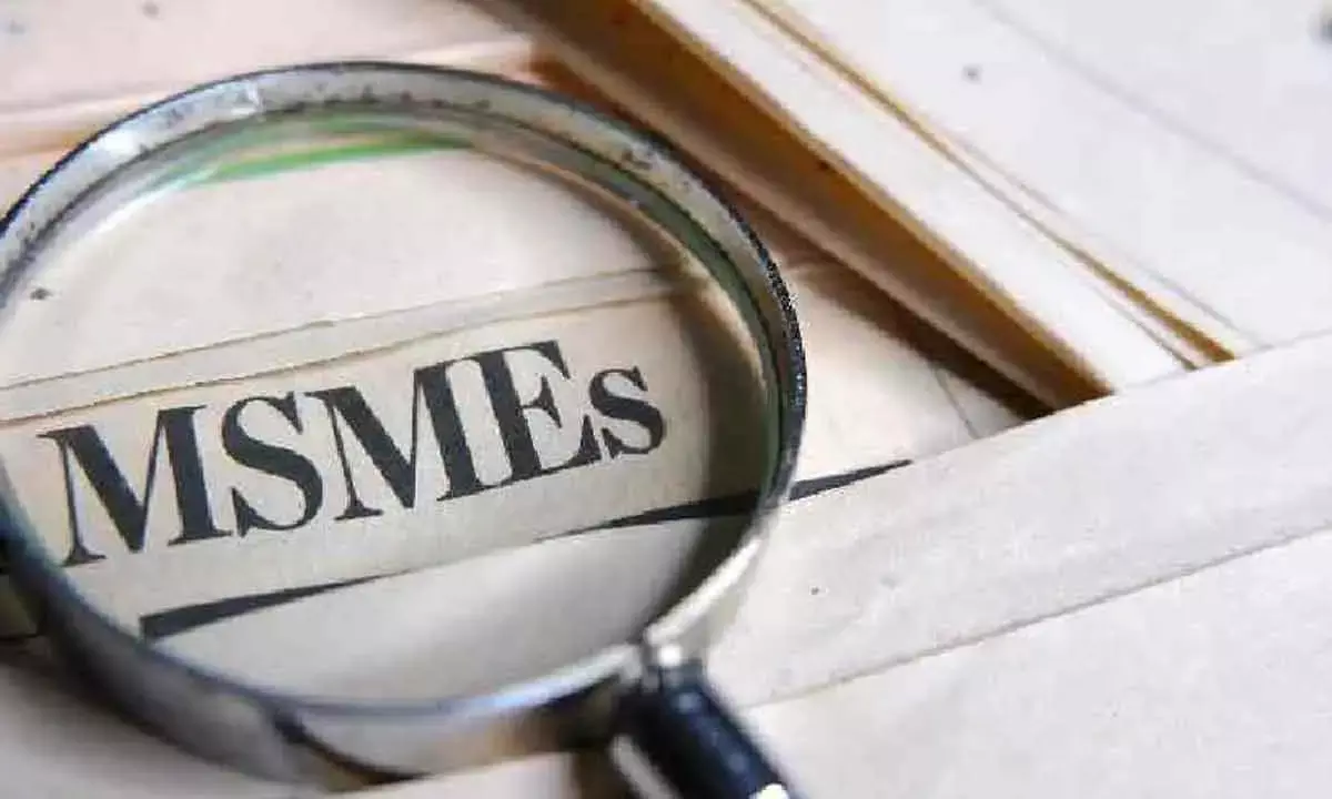 Govt Notifies New Norms On MSMEs
