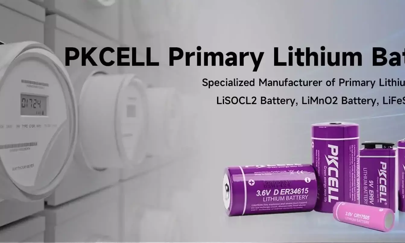 Key Factors to Consider When Buying Primary Lithium Batteries