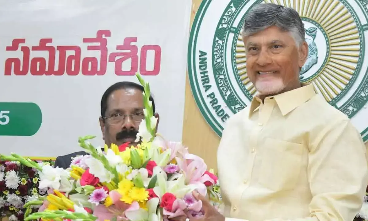 Naidu Seeks Pvt Investors’ Support For Andhra Pradesh Development