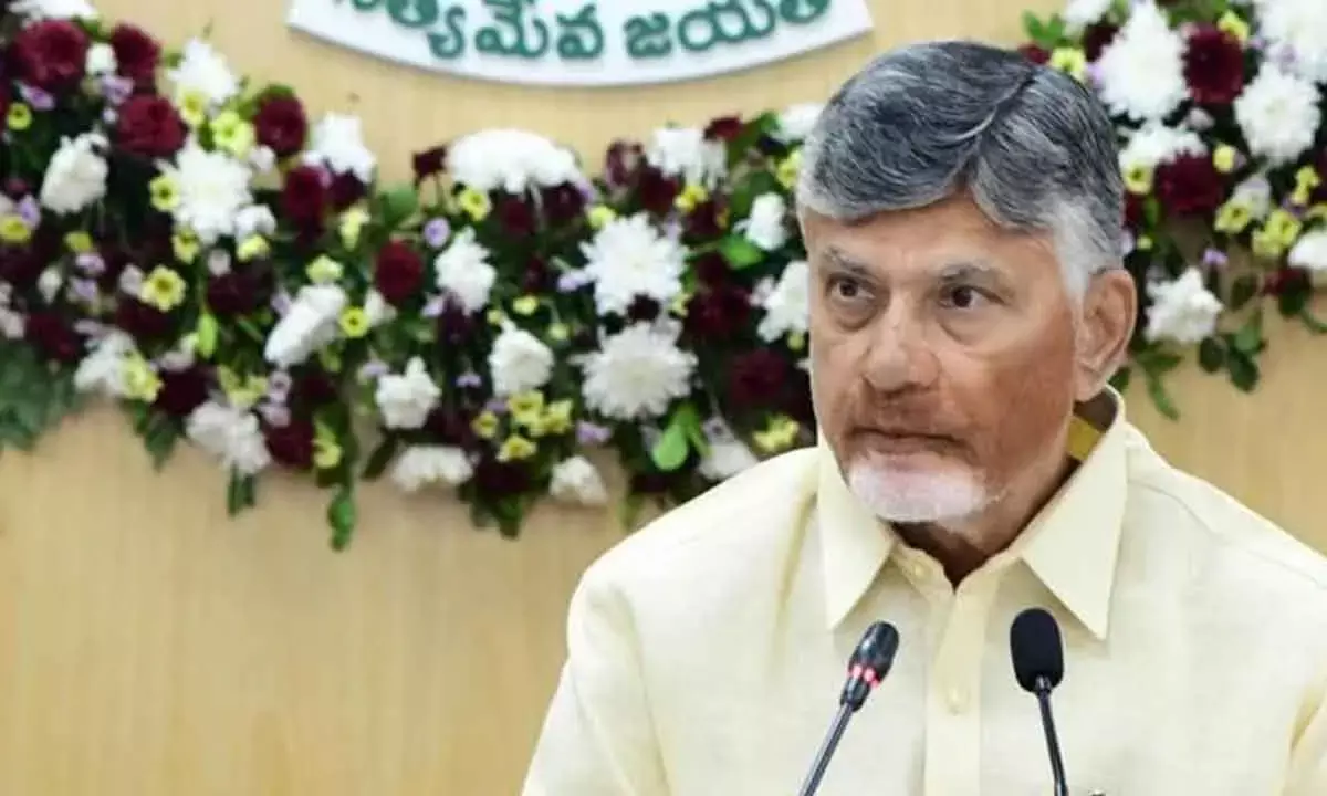 Andhra Pradesh Progress To Be Reviewed District-Wise: CM Naidu