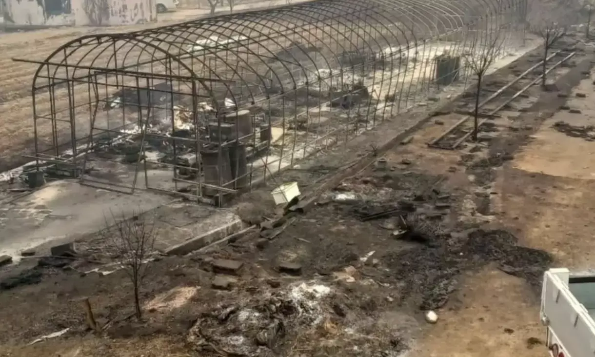 South Korea battles devastating wildfires, racing to save lives and history