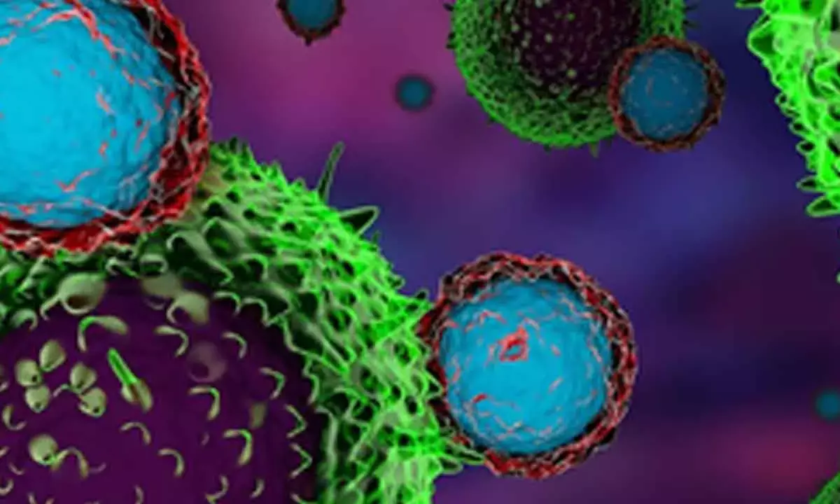 Exposing Cancer Cells To Immune System