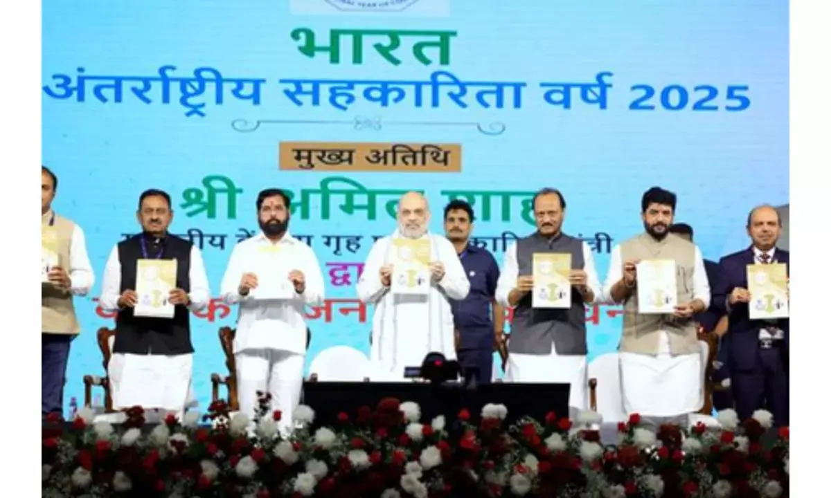 Cooperative taxi service to improve drivers’ income, ensure better services: Centre