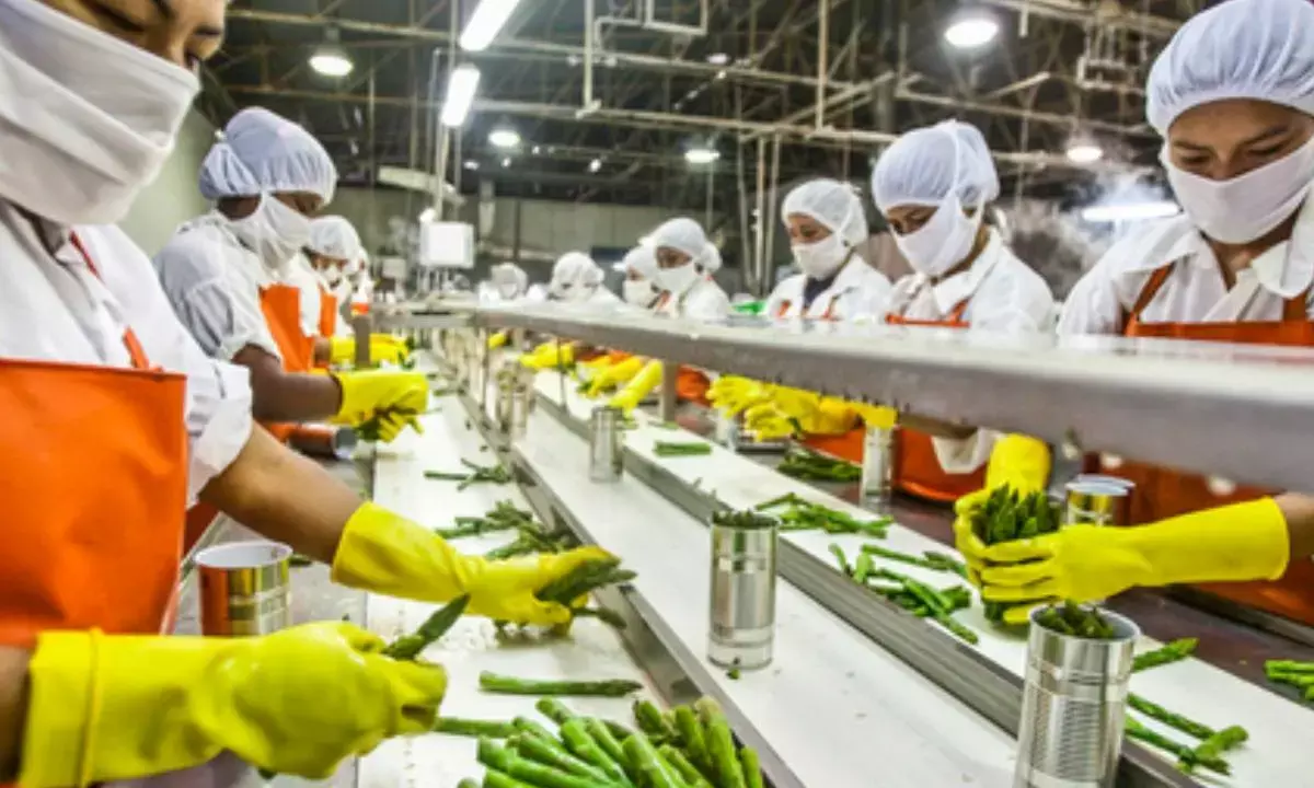 Food processing PLI: 171 firms approved, over 2.89 lakh jobs generated