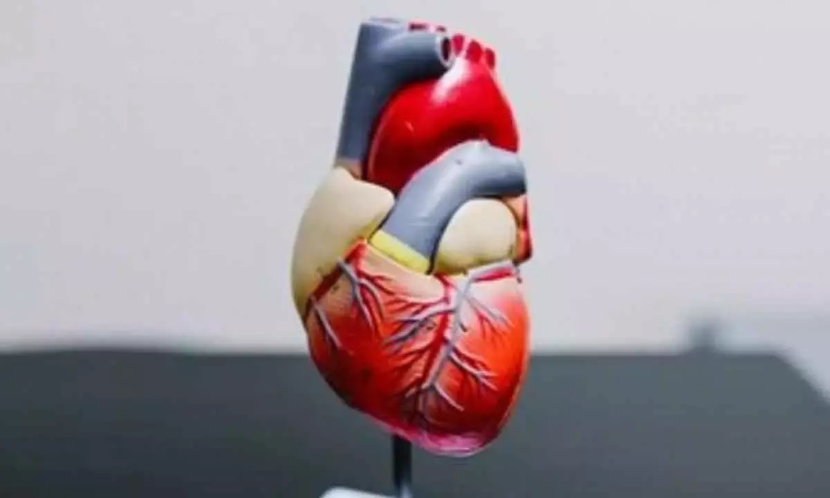 Study Decodes Who Needs Statin Medication To Lower Cholesterol