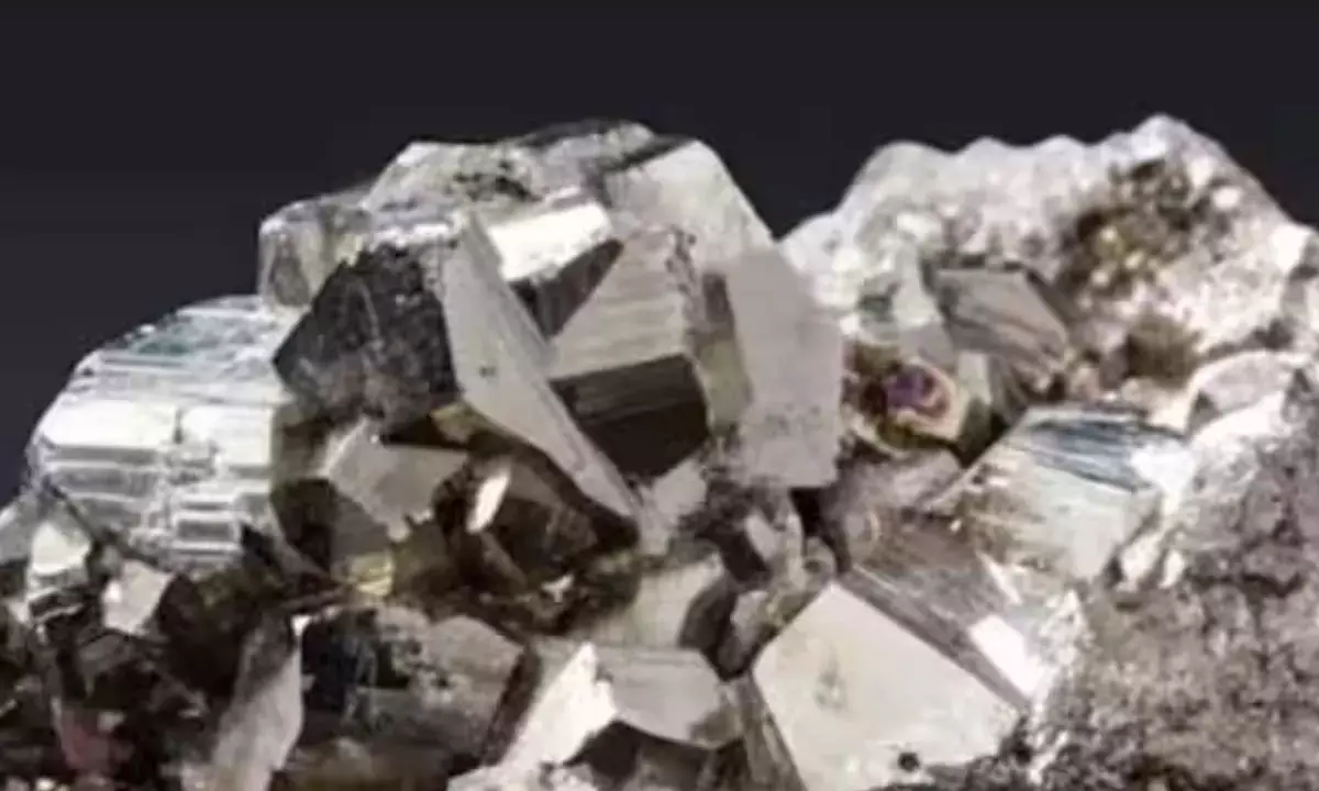 Strong mineral growth in 2024-25