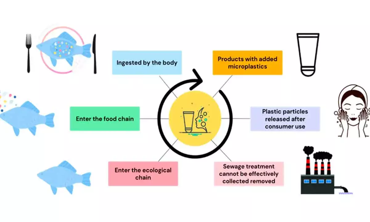The Potential Health Risks Of Microplastics Will Continue To Be The Subject Of Heated Scientific Debates