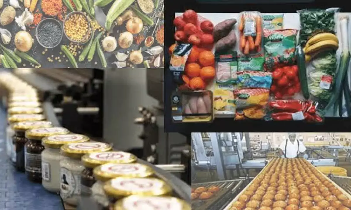 AP Emerging Key Player In Food Processing Sector