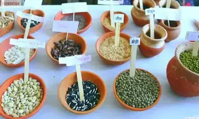 Telangana Seed Festival’ from April 4 to 6