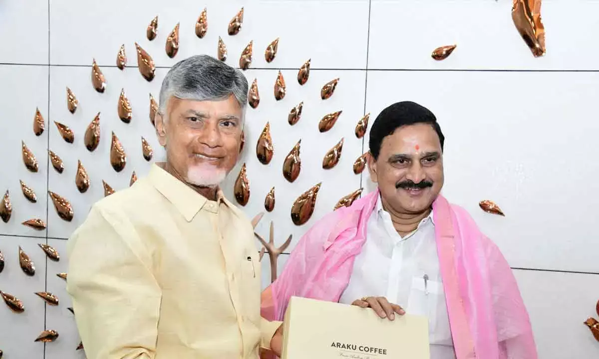 Centre Briefs Naidu On Strengthening VSP