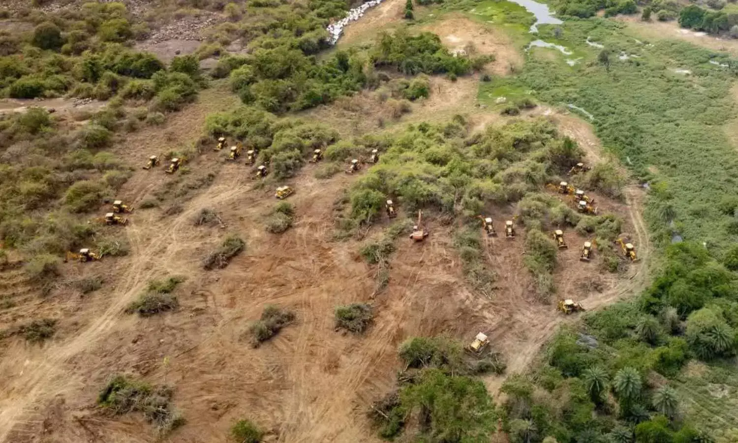 Cyberabad Police Enforce Ban in 400-Acre Kancha Gachibowli Area