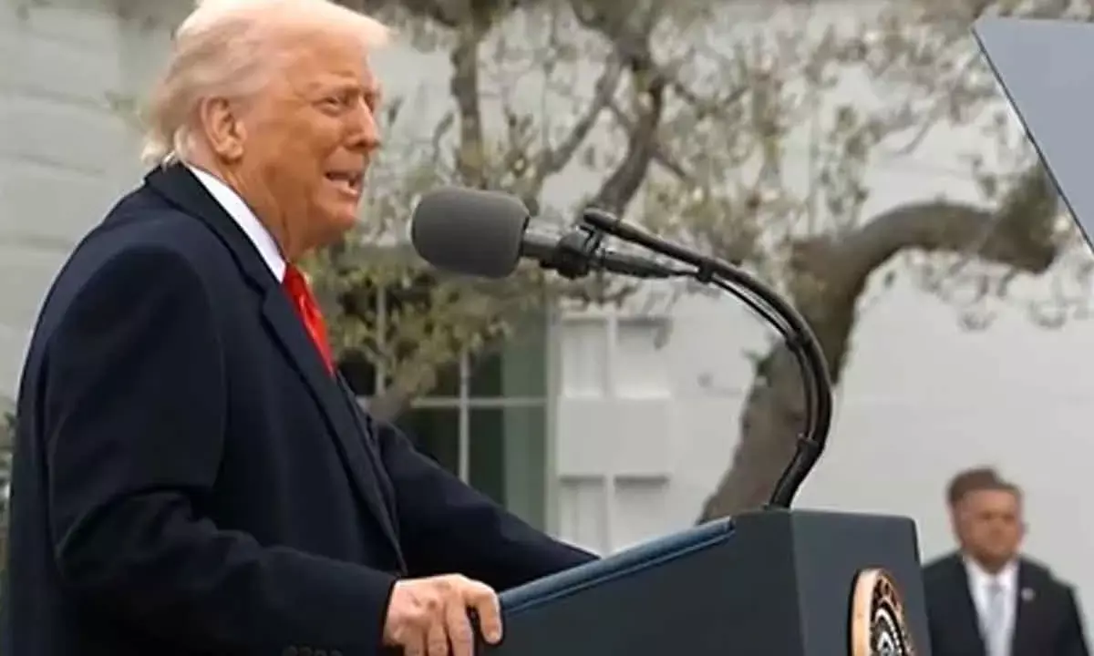 Trump’s tariffs, while disruptive, can help many Indian sectors