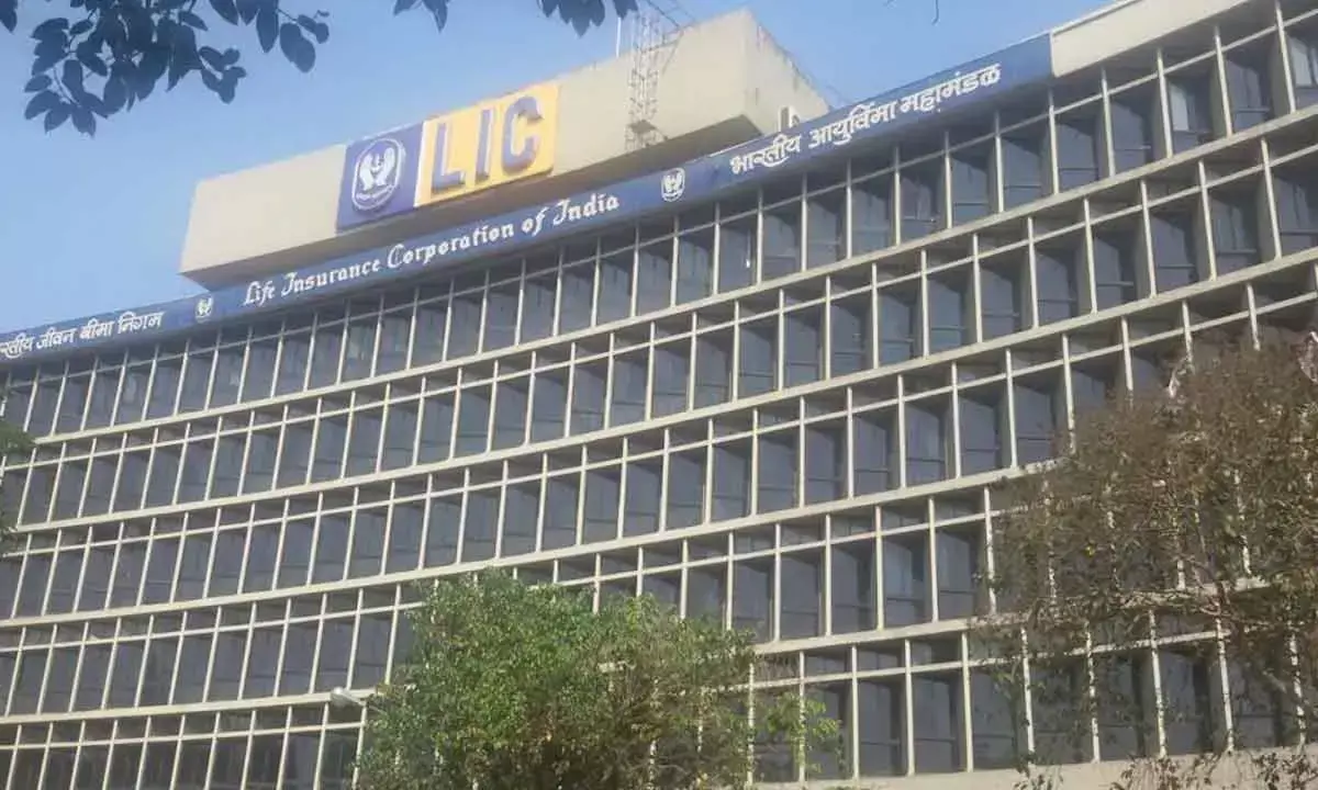 LICs NBP for FY25 stands at Rs 2.27 Tn