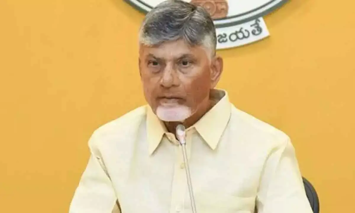 Every Segment Should Have 100-Bed Hospital: Naidu