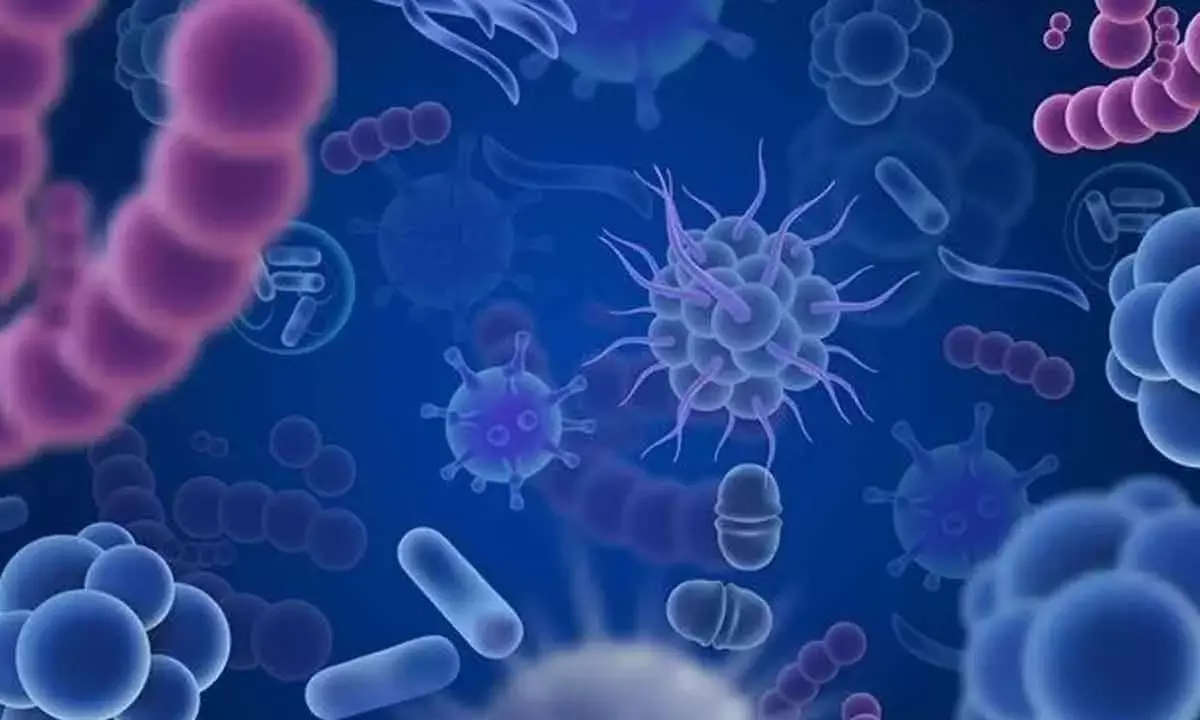 Don’t Entirely Eradicate Microbes But Learn To Live With The Right Ones, Advice Scientists