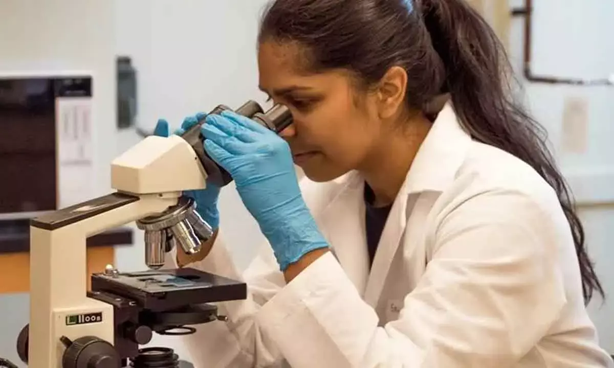 A Major Medical Breakthrough Was Born From Curiosity - But That Kind Of Research Now At Risk