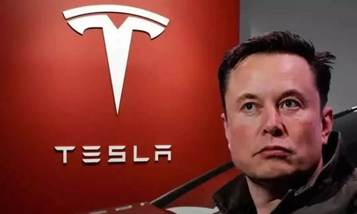 Teslas Entry Will Help Grow EV Market In India