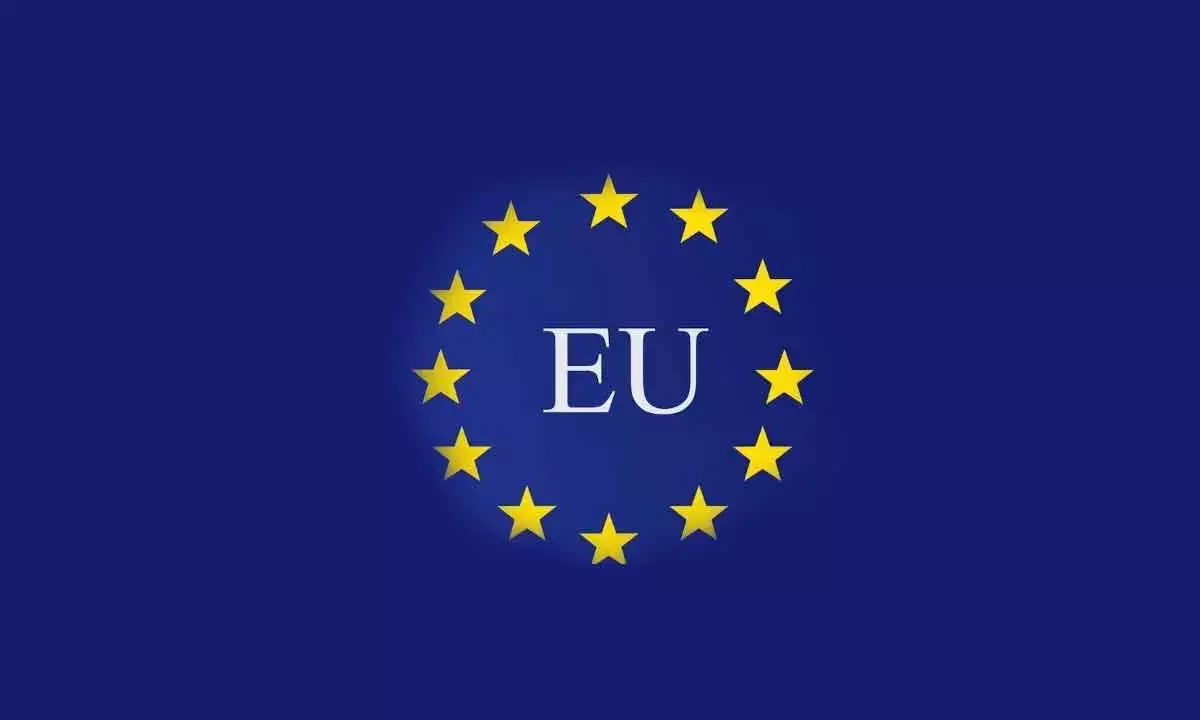 EU Nations Caution On Brazils  Push For New Climate Body