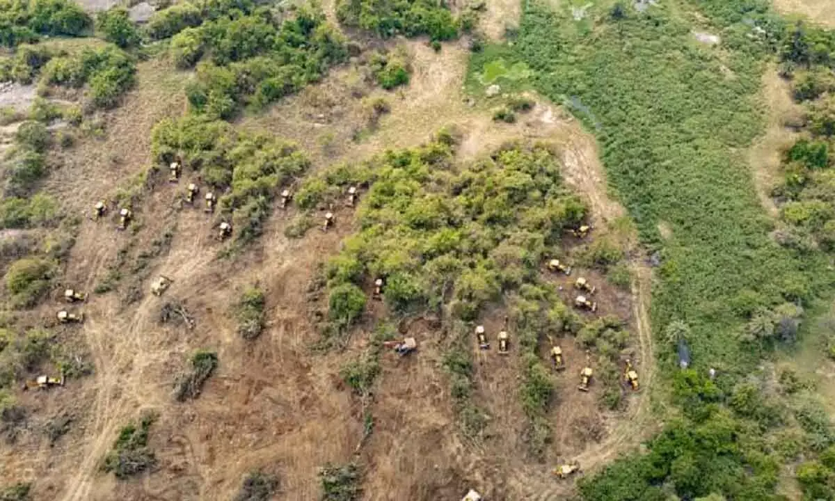 TG Govt Seeks HC Action Against ‘Fake’ Content In HCU Land Case