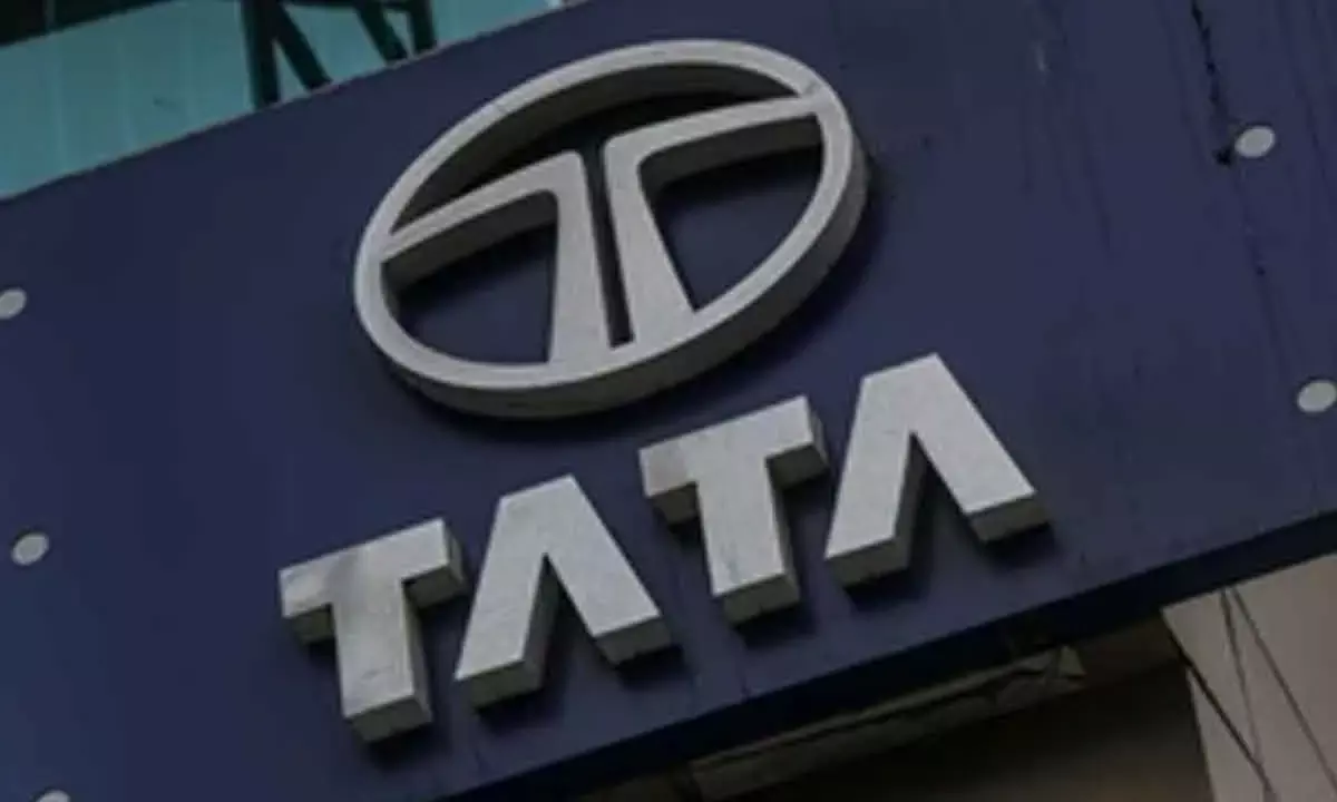 Tata Group’s Mcap Dips Rs 90,000 Cr