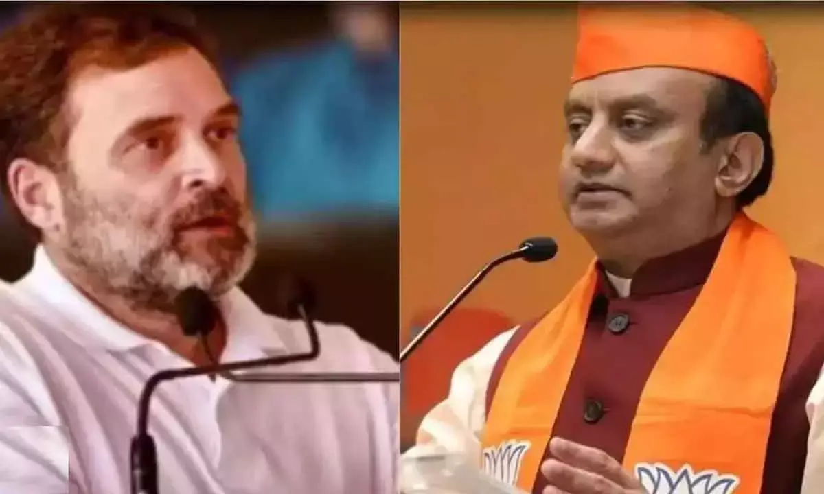 Rahul insulted Ambedkar, Cong Never Gave Due To Sardar Patel: BJP