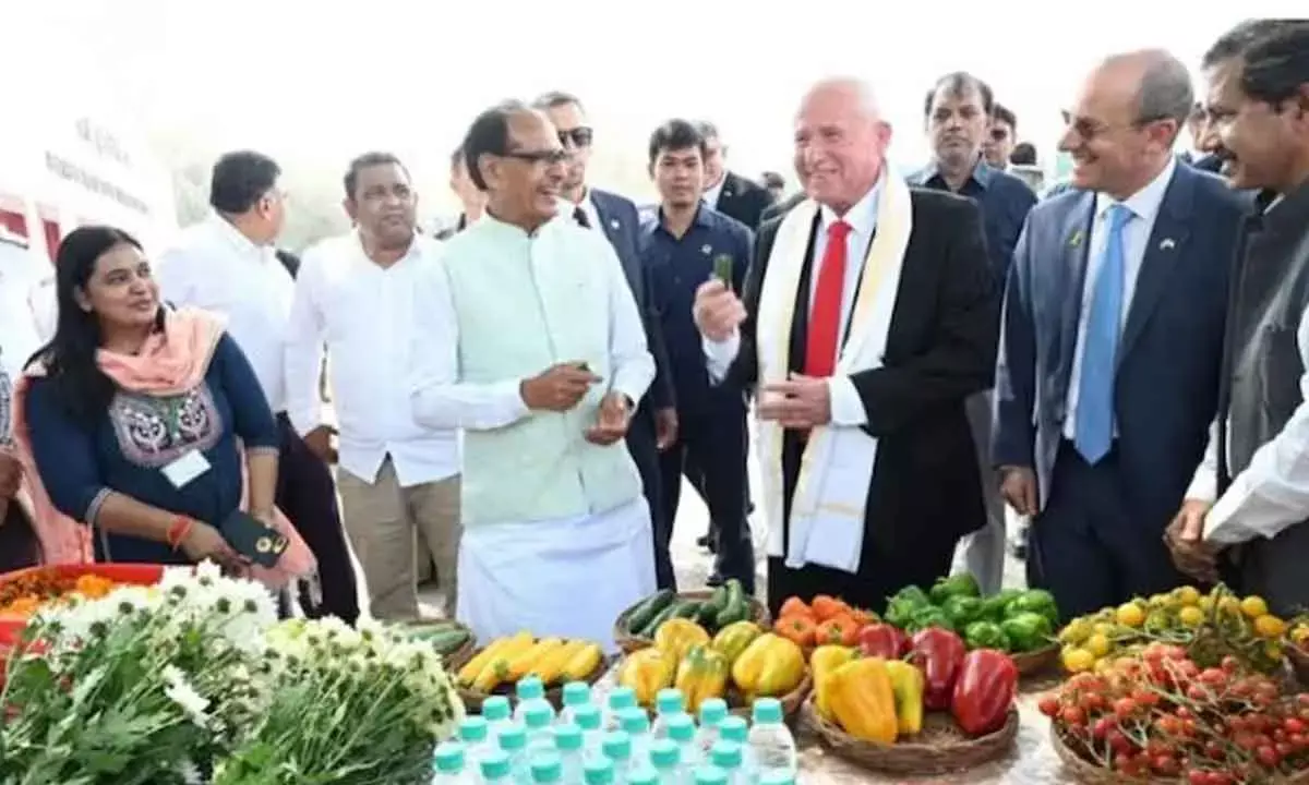 India Seeks Market Access For 10 Agri Products From Israel