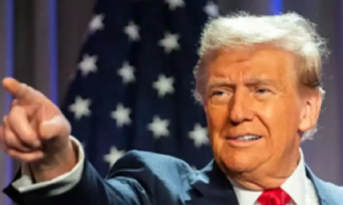 Tariffs on Drug Imports Loom as Trump Targets Pharma Industry