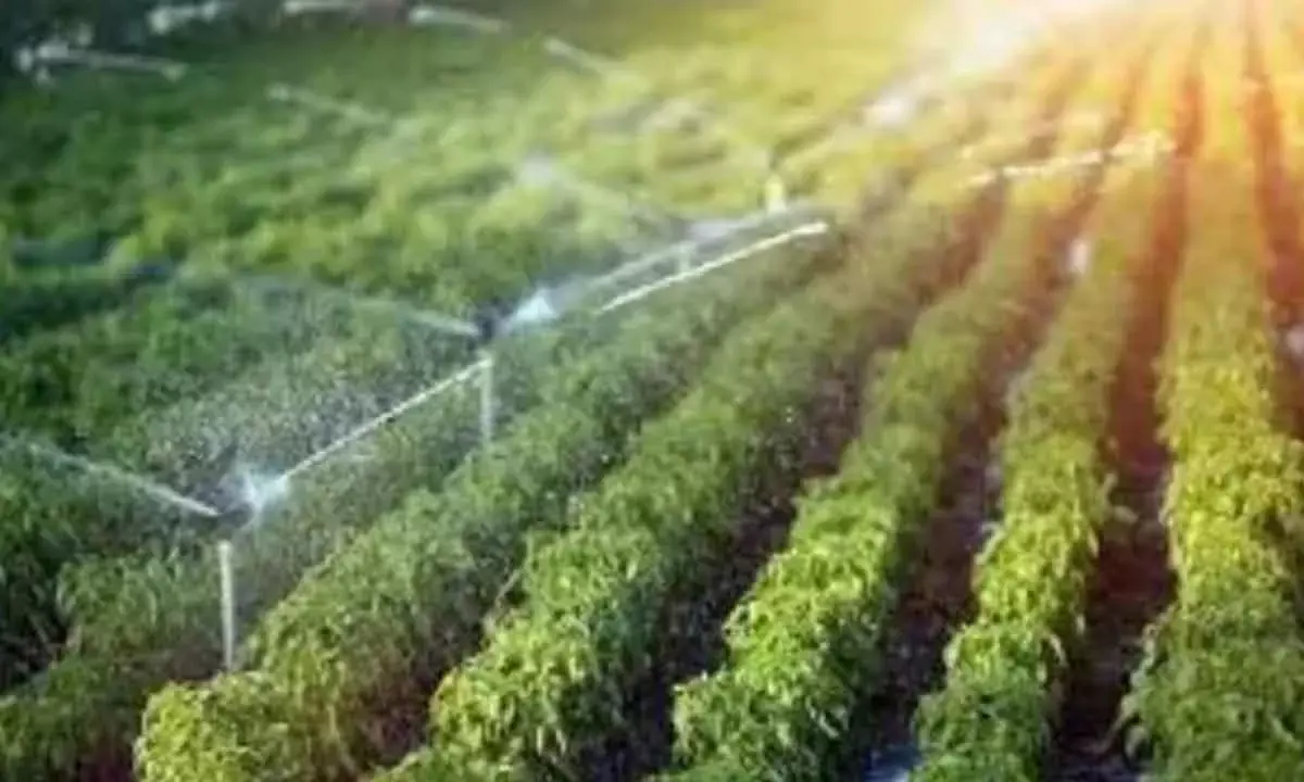 Govt Approves Rs 1,600 Cr For Modernising Irrigation