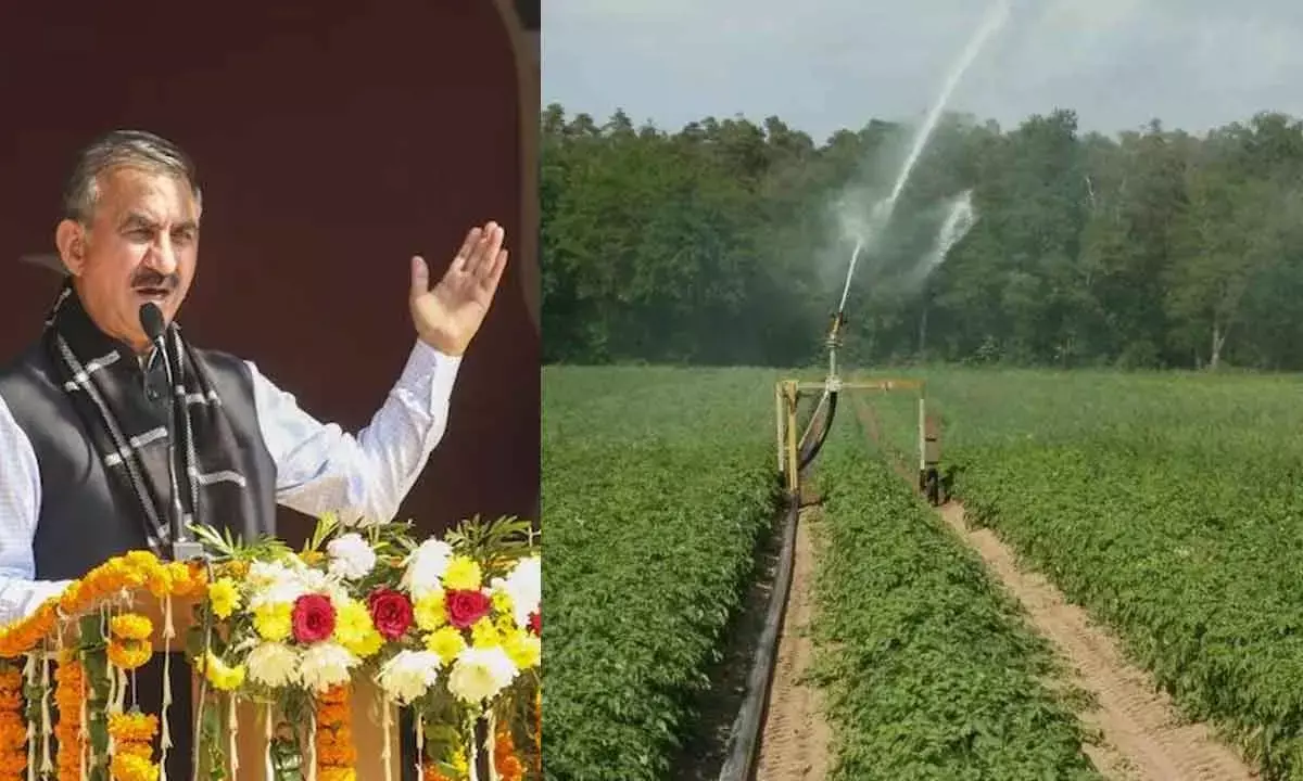 Himachal’s Template For Pricing Natural Farming Produce Should Be Replicated Across Nation