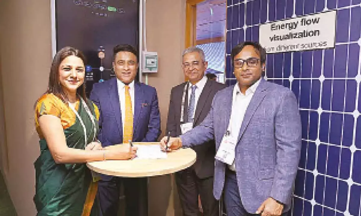Freyr Energy, Schneider Electric Join To Provide Clean Energy Solution