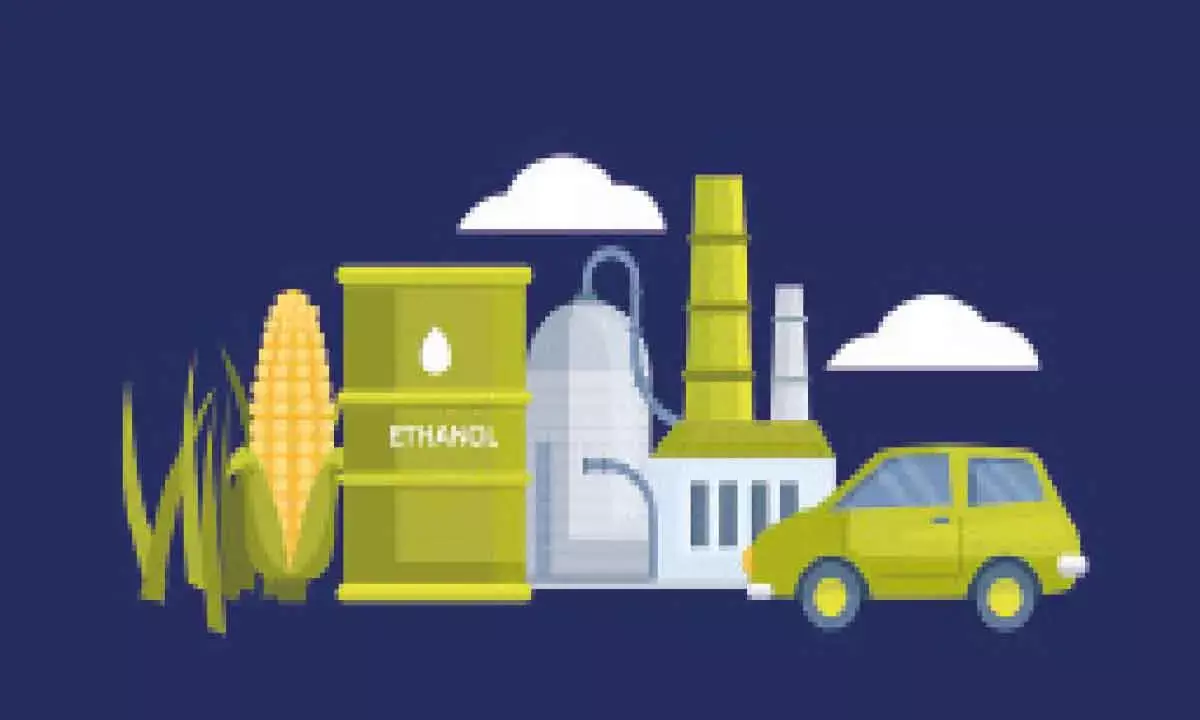 India needs higher maize production