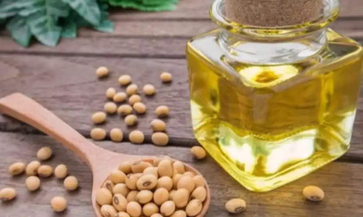 Crude Soyabean Oil Import Jumps Two-Fold To 19.11L Tonne: SEA
