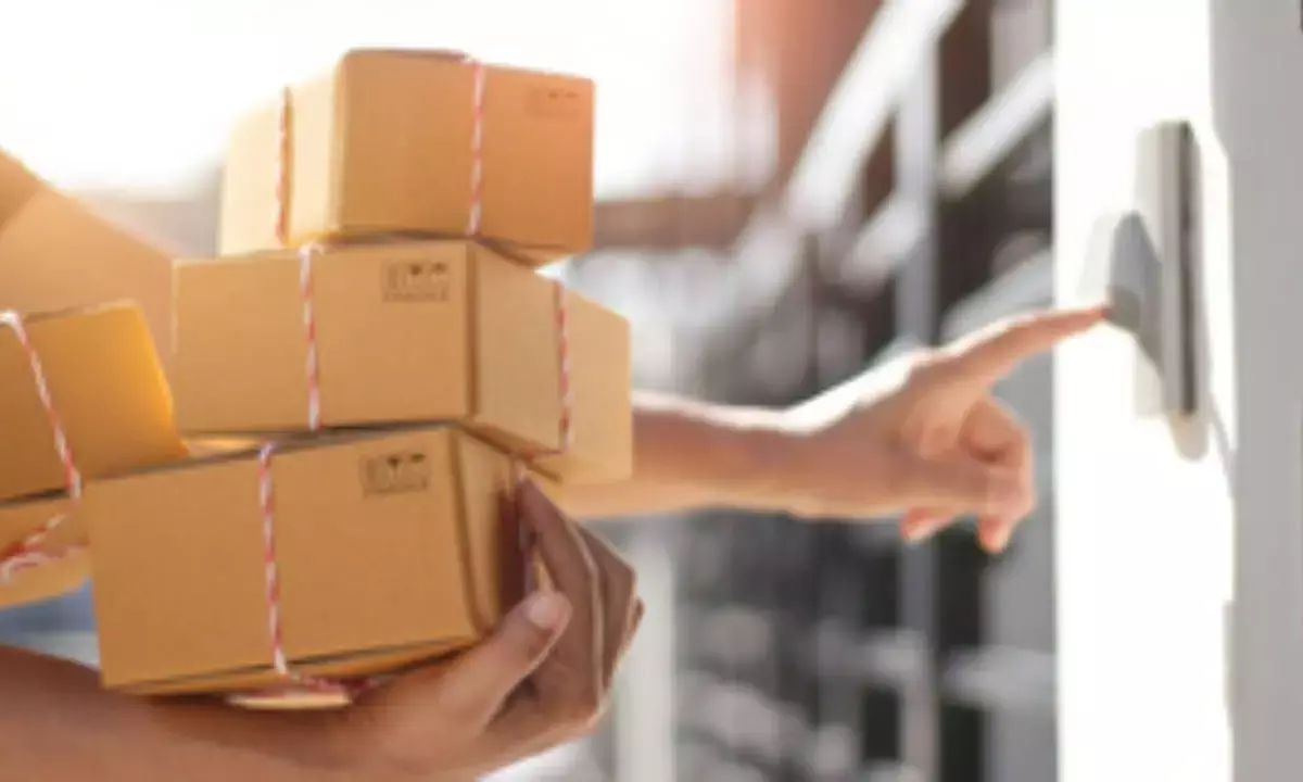 India ranked 2nd globally in direct-to-consumer sector funding in 2024: Report