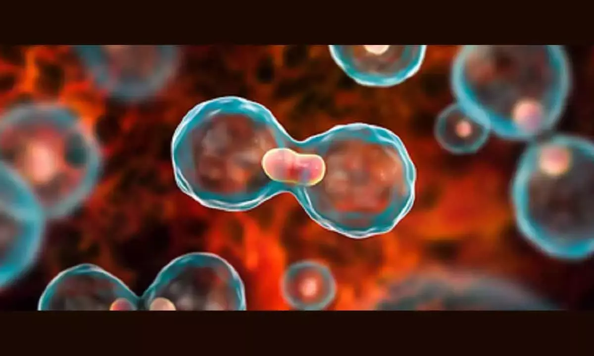 Gene-Based Blood Test May Help Predict Early Signs Of Cancers Return