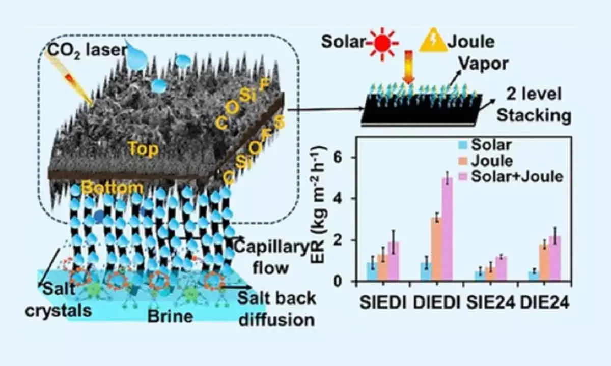 IIT-B Develops Lotus Leaf-Like Solar Evaporators For Saltwater Treatment