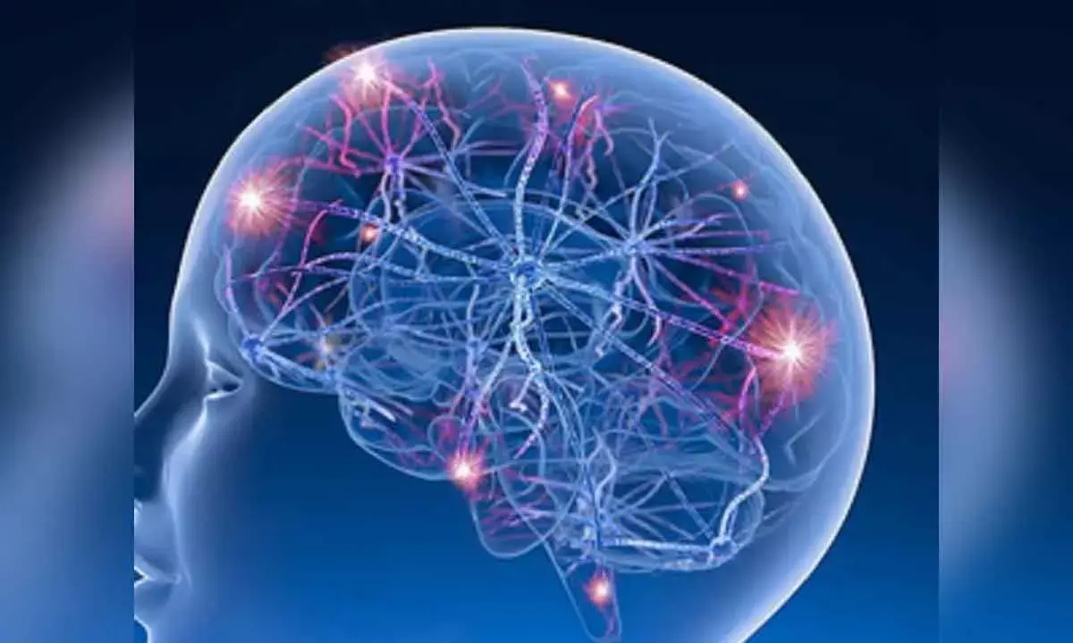 Common Genetic Variants Linked To Drug-Resistant Epilepsy: Study