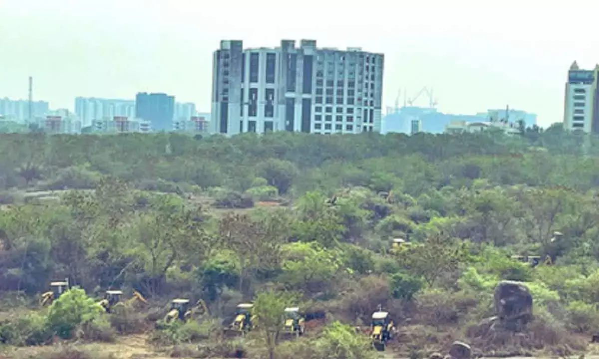 SC Extends Stay On Tree Felling Near HCU