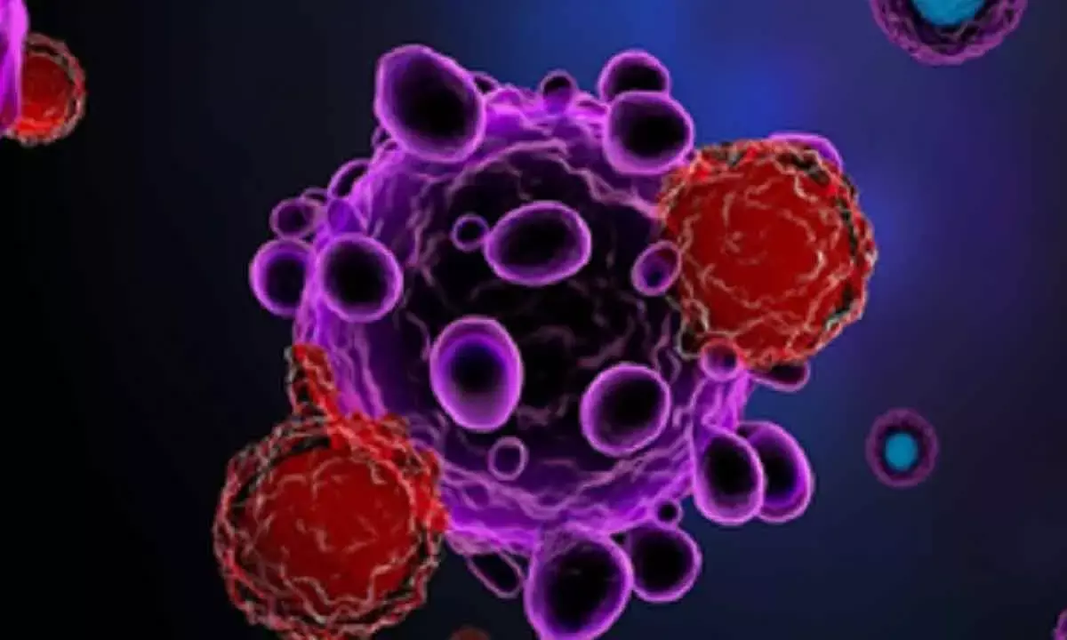 Stem Cell Therapy Effective In Treating Parkinsons Disease