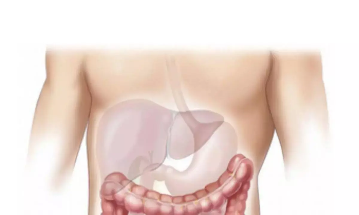 World Liver Day: Fix food habits to cut liver disease risk by 50 pc