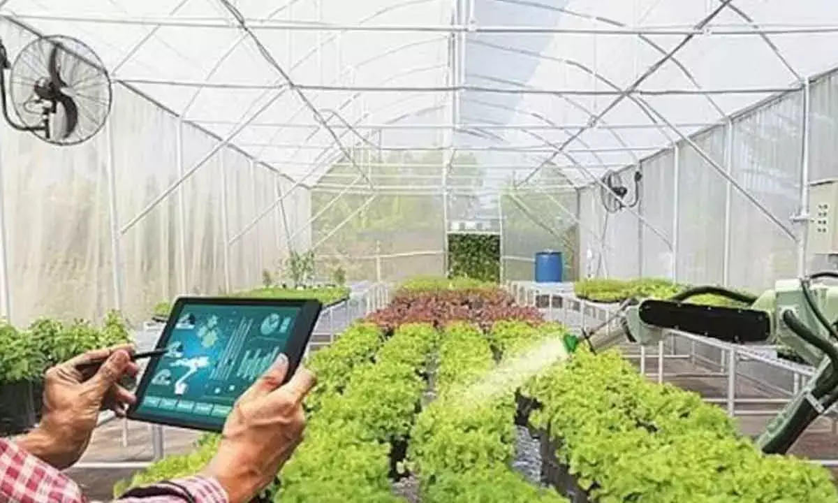 India Top-Funded For Agrifood Tech Investment In 2024