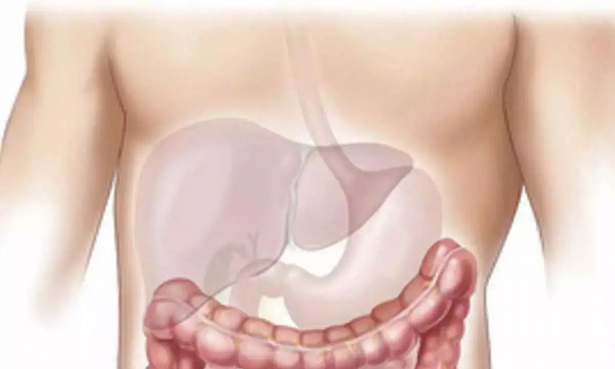 Fix Food Habits To Cut Liver Disease Risk, Say Experts