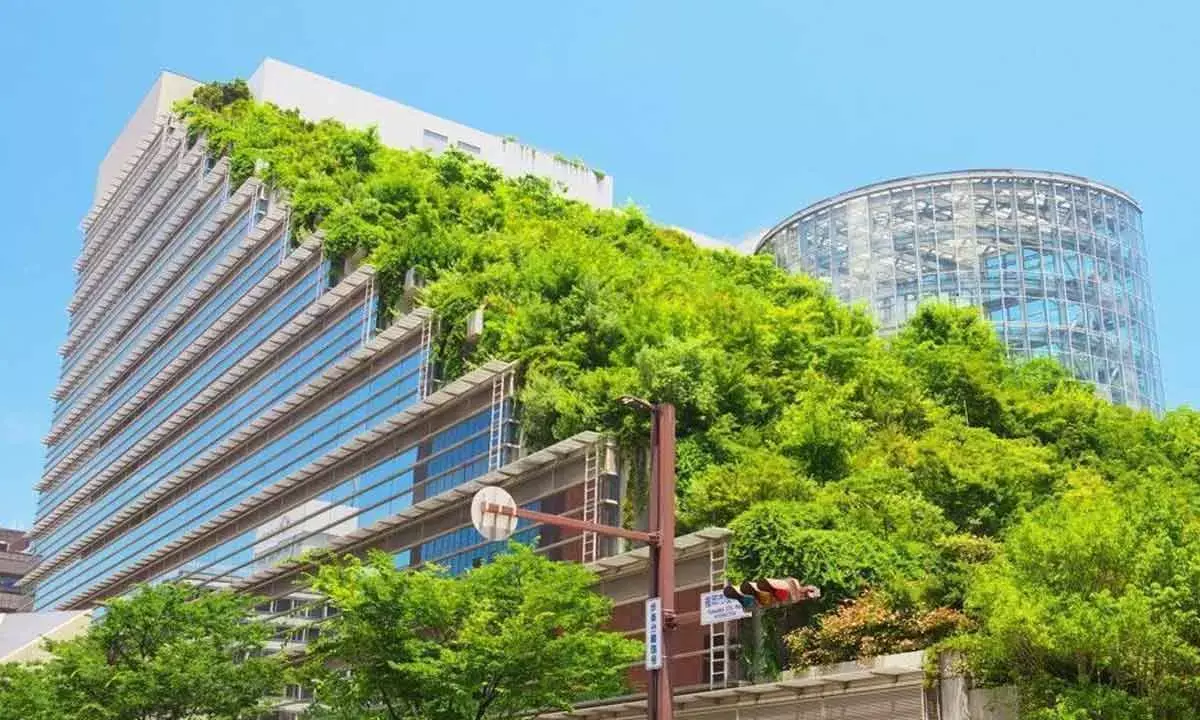 Hyderabad Leads In Green Grade A Office Stock Use At 75%