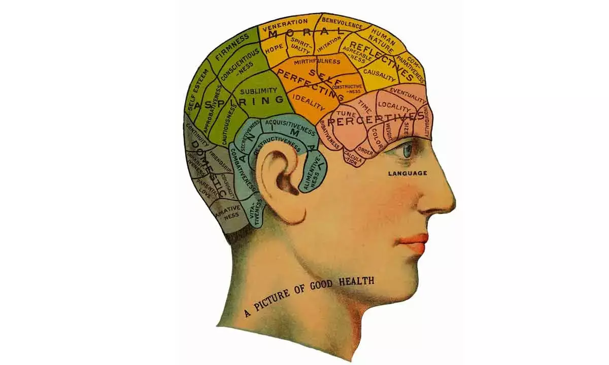 Once Ridiculed As ‘Quackery’, More And More People Are Now Getting Drawn To Phrenology