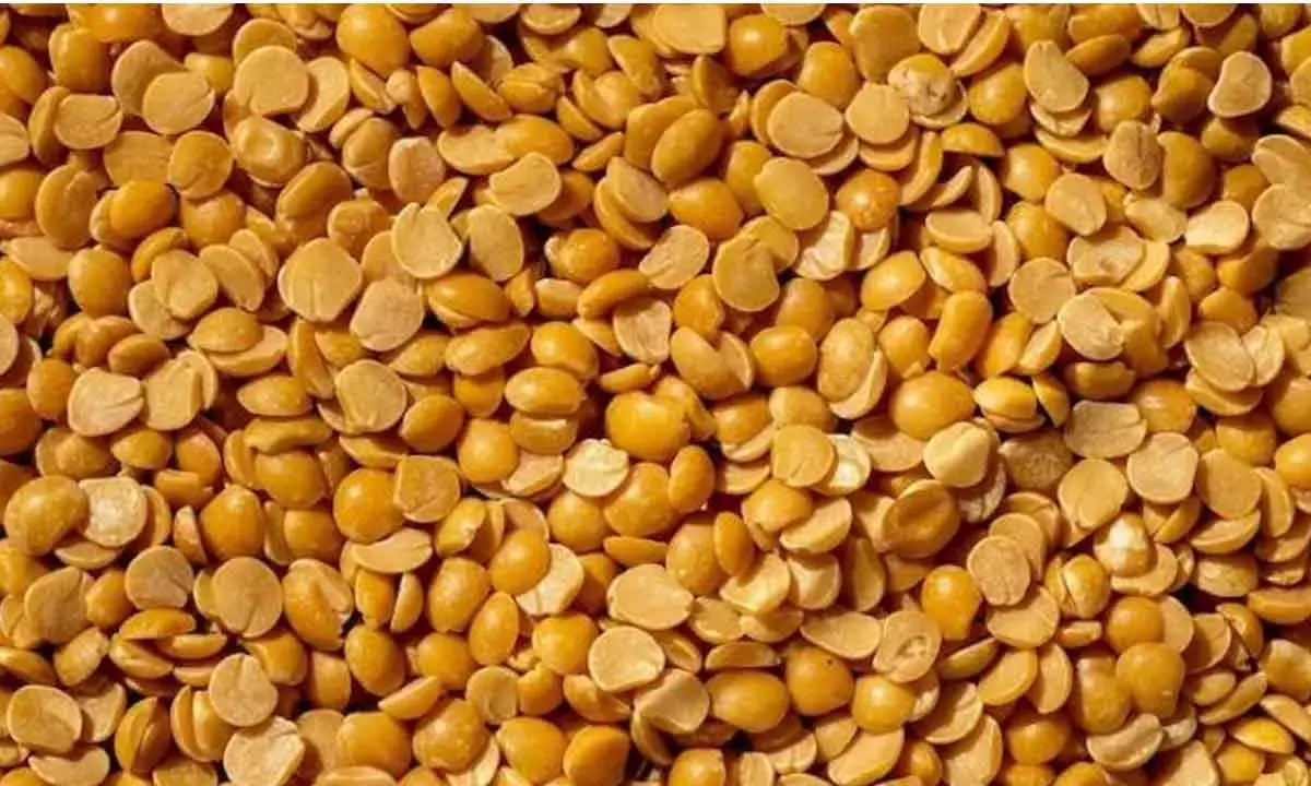 3,40,000 Tonnes Of Tur Procured Under Govt Price Support Scheme