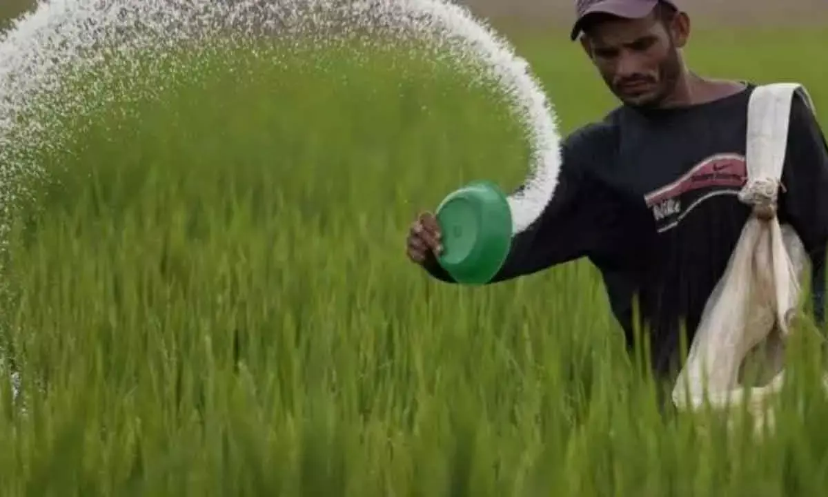 NFL To Pick 18% Stake For Rs 572 Cr In Proposed JV