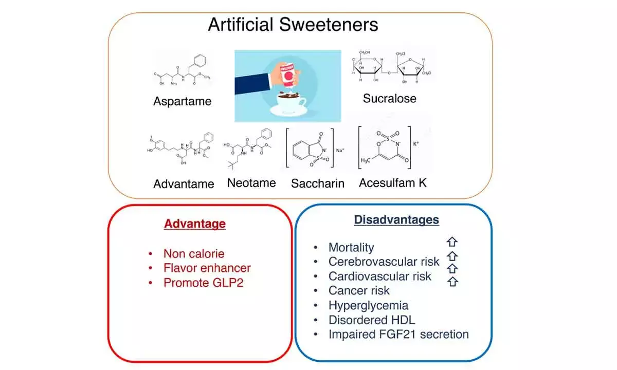 No Conclusive Proof About Effects Of Artificial Sweeteners On One’s Health
