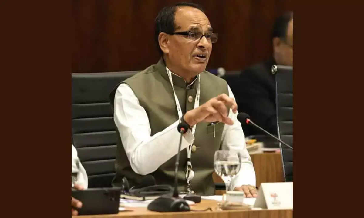 India Highlights Role Of Small Farmers For Global Food Security At BRICS Meet