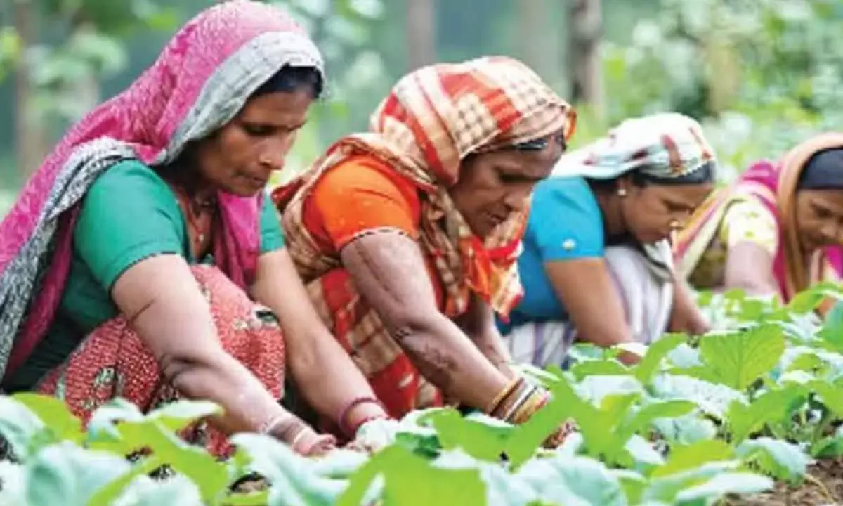 UP Govt Plans Rs 2,500 Cr Push For Natural Farming